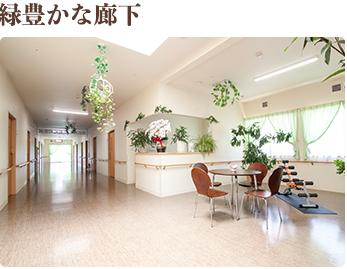 緑豊かな廊下 緑豊かな環境を作るために、施設内には植物を置いて、自然の豊かさを感じていただいてます。