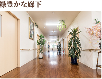 緑豊かな廊下 緑豊かな環境を作るために、施設内には植物を置いて、自然の豊かさを感じていただいてます。